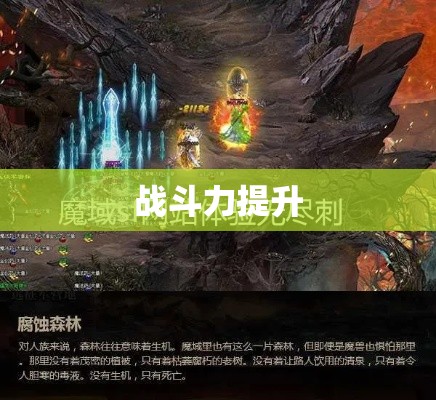  神秘之旅——魔域幽暗森林攻略指南 - 轩辕网