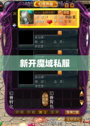 新开魔域私服法师怎么搭配BB - 轩辕网
